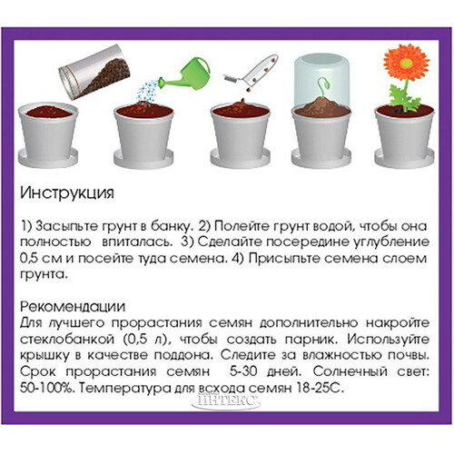 Набор для выращивания Клубника Rostokvisa