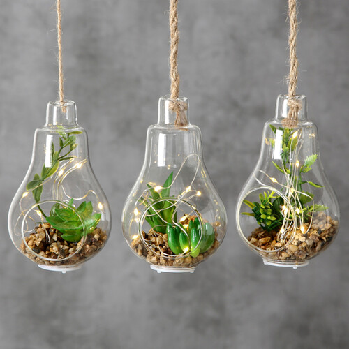 Декоративный подвесной светильник - флорариум с суккулентами Эхеверия и Шлюмбергера 12 см, IP20 Boltze