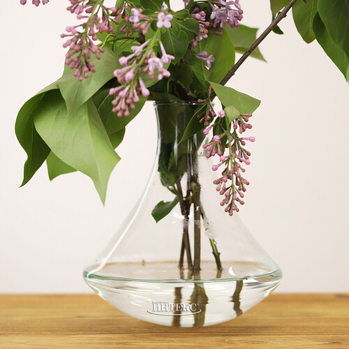 Стеклянная ваза Patagonia 17 см Edelman