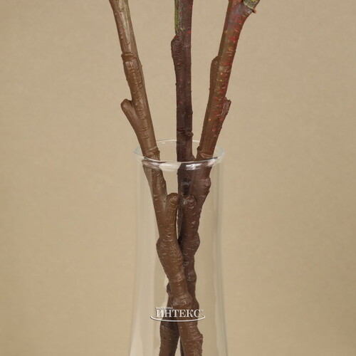 Стеклянная ваза Fiaba 21 см Edelman