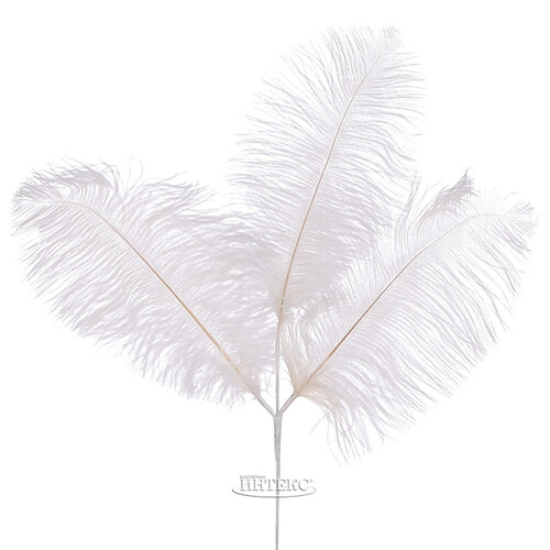 Декоративная ветка с перьями Trixypona 61 см белая Edelman
