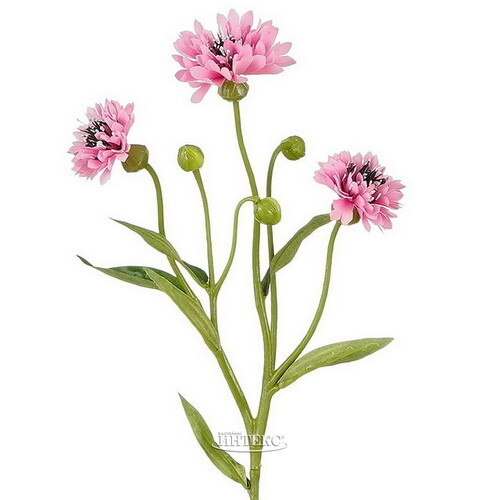 Искусственный букет Corn Flower 62 см розовый Edelman