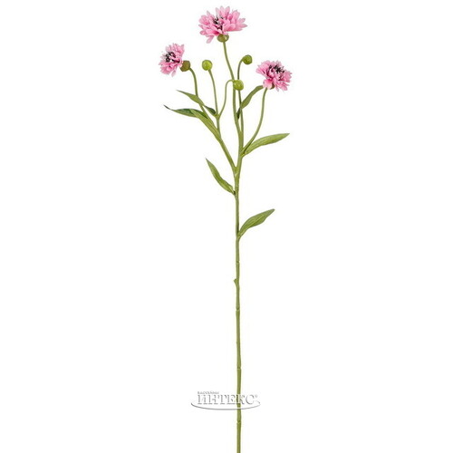 Искусственный букет Corn Flower 62 см розовый Edelman