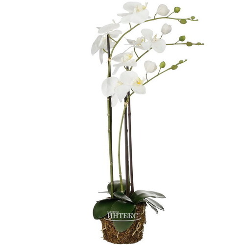 Искусственная орхидея Фаленопсис 76 см, без кашпо Edelman