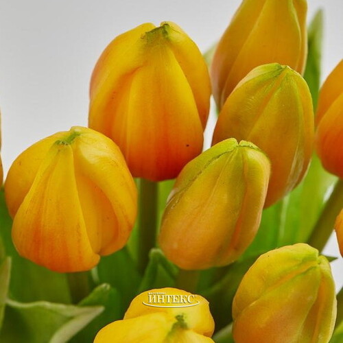 Силиконовые тюльпаны Hidalgo 9 шт, 29 см оранжевые EDG