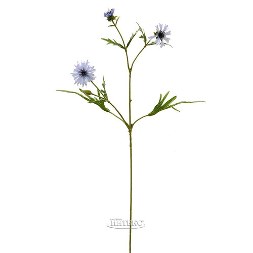 Искуcственный цветок Василек - Blu Pallido 71 см EDG