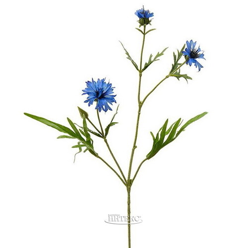 Искуcственный цветок Василек - Blu Profondo 71 см EDG