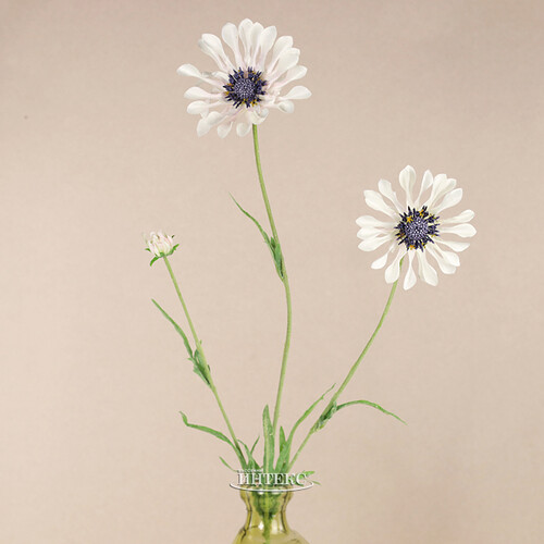 Искуcственный цветок Scabiosa - Perfecta White 65 см EDG