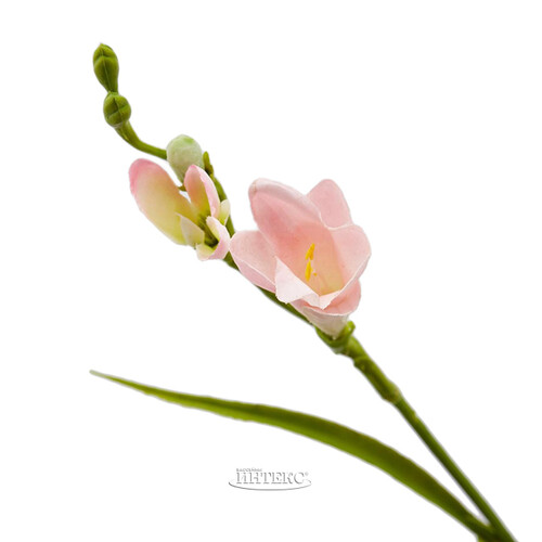 Искуcственный цветок Фрезия - Miranda Brillante 65 см EDG