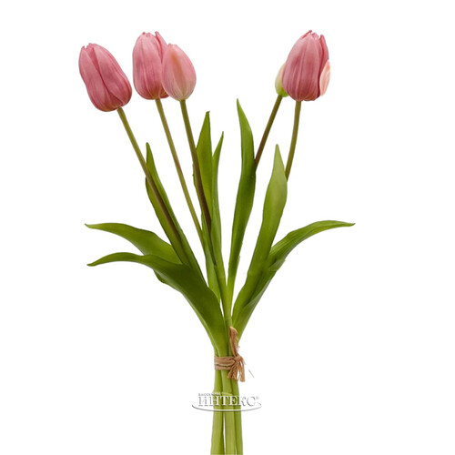 Силиконовые тюльпаны Abe Lenstra 5 шт, 40 см EDG