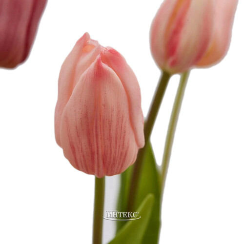 Силиконовые тюльпаны Signora Rosa 5 шт, 40 см EDG