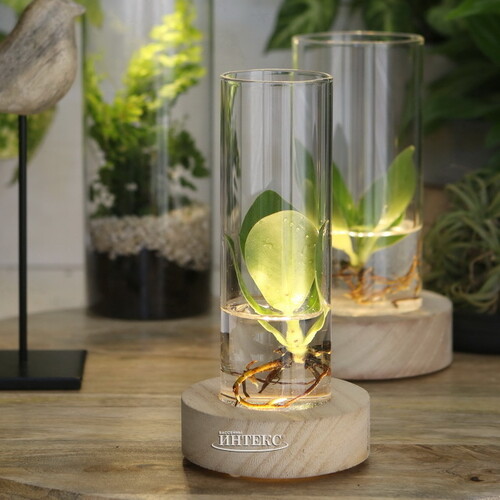 Стеклянная ваза с подсветкой Lokrum 17 см, на батарейках Ideas4Seasons