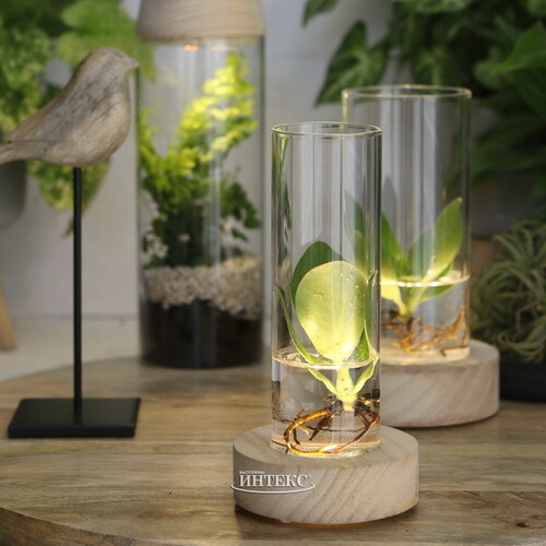 Стеклянная ваза с подсветкой Lokrum 17 см, на батарейках Ideas4Seasons