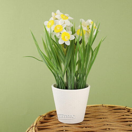Искусственный цветок в горшке Bianche - Нарцисс 21 см Koopman