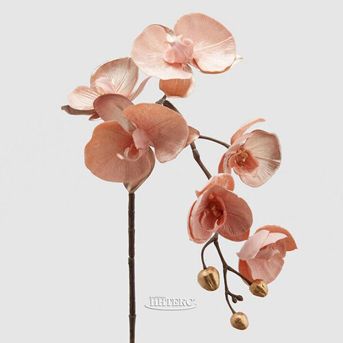 Искусственная ветка Орхидея 79 см светло-персиковая EDG