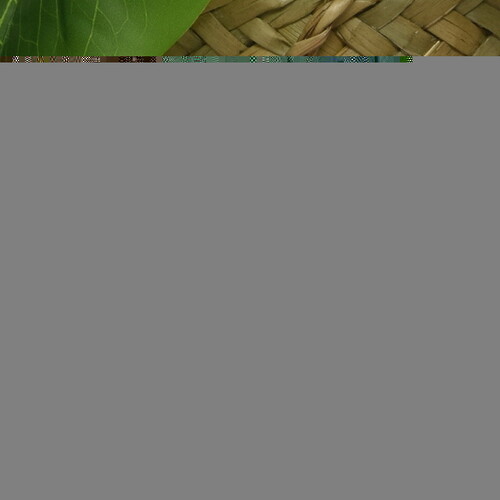 Искусственное растение в горшке Jordano 26 см Kaemingk