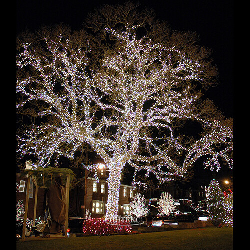 Гирлянды на дерево Клип Лайт Legoled 60 м, 450 холодных белых LED, черный КАУЧУК, IP54 BEAUTY LED