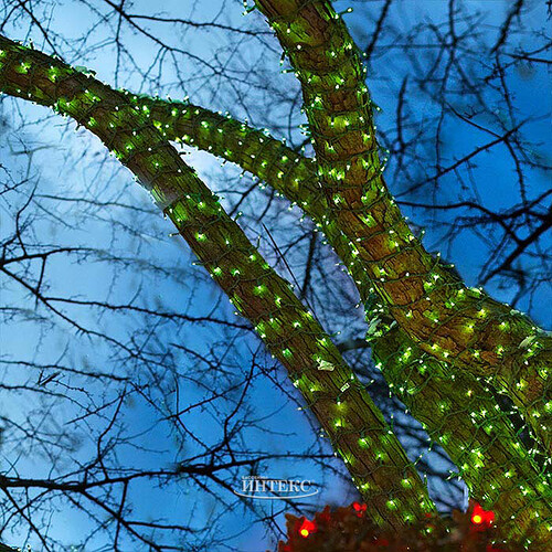Гирлянды на дерево Клип Лайт Quality Light 60 м, 600 зеленых LED ламп, с мерцанием, прозрачный ПВХ, IP44 BEAUTY LED