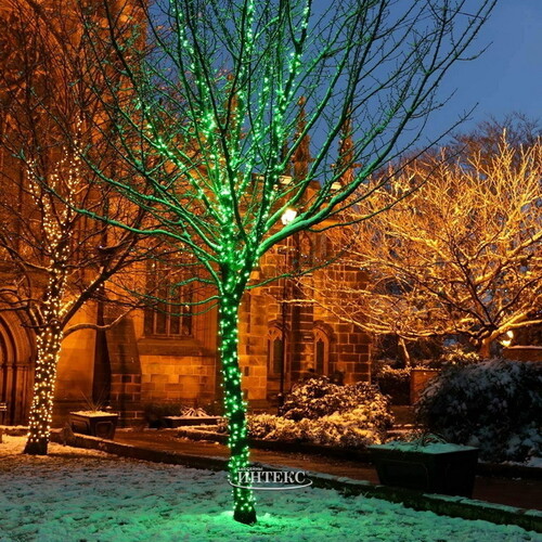 Клип Лайт - Спайдер Quality Light 60 м, 600 зеленых LED ламп, с мерцанием, прозрачный ПВХ, IP44 BEAUTY LED