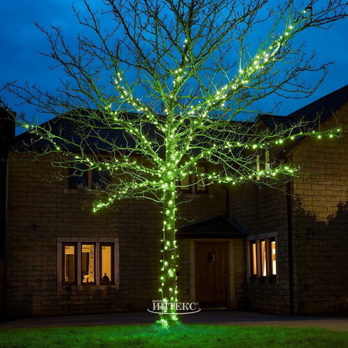 Гирлянды на дерево Клип Лайт Quality Light 100 м, 1000 зеленых LED ламп, с мерцанием, прозрачный ПВХ, IP44 BEAUTY LED