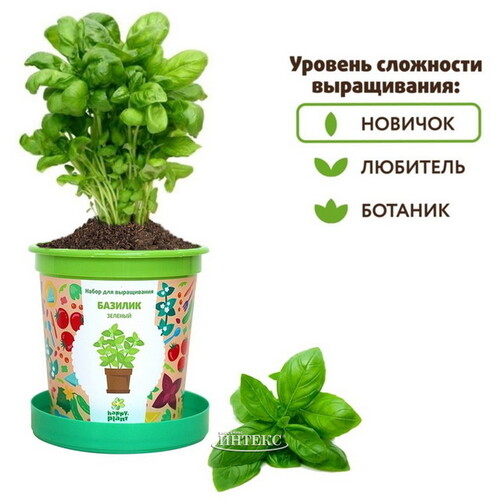 Набор для выращивания Базилик зеленый в горшке Happy Plant