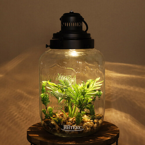 Декоративный флорариум-банка Rubiera с Элодией 39*20 см, теплая белая LED подсветка  Koopman
