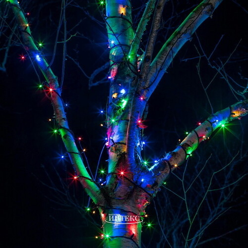Гирлянды на дерево Клип Лайт Legoled 60 м, 450 разноцветных LED, черный КАУЧУК, IP54 BEAUTY LED