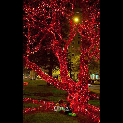 Гирлянды на дерево Клип Лайт Quality Light 100 м, 1000 красных LED ламп, черный ПВХ, IP44 BEAUTY LED