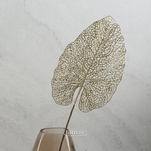 Декоративный лист Ажурная Калатея 67 см шампань Koopman