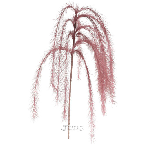 Декоративная ветка с перьями Акалифа 130 см розовая Koopman