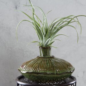 Керамическая ваза Корфу 19*11 см EDG фото 1