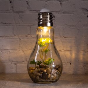 Декоративный подвесной светильник - флорариум Лампочка с Крассулой 18 см, теплая белая LED подсветка, стекло, IP20 (Boltze, Германия). Артикул: 1003978-1