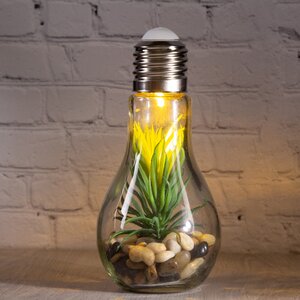 Декоративный подвесной светильник - флорариум Лампочка с Агавой 18 см, теплая белая LED подсветка, стекло, IP20 (Boltze, Германия). Артикул: 1003978-2