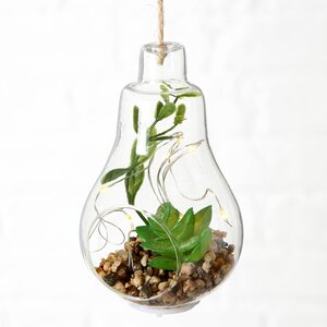 Декоративный подвесной светильник - флорариум с суккулентами Эхеверия и Шлюмбергера 12 см, IP20 (Boltze, Германия). Артикул: 1005915-1