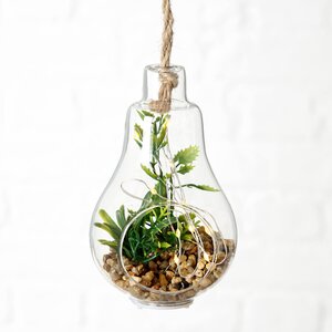 Декоративный подвесной светильник - флорариум с суккулентами Аптения Роскошная 12 см, IP20 (Boltze, Германия). Артикул: 1005915-3
