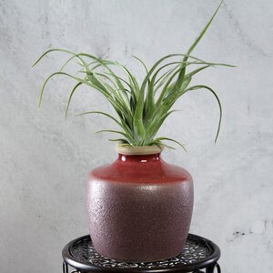 Керамическая ваза Леди Винтер 14 см Edelman фото 6