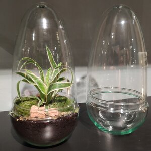 Стеклянная ваза для флорариума и композиций Рододендрон 25*13 см Edelman фото 1