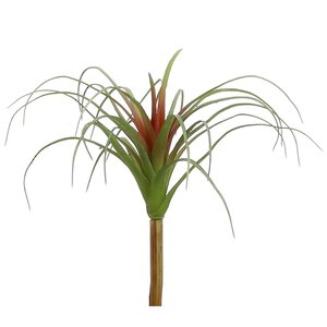 Искусственное растение Колумбийская Тилландсия 26*24 см