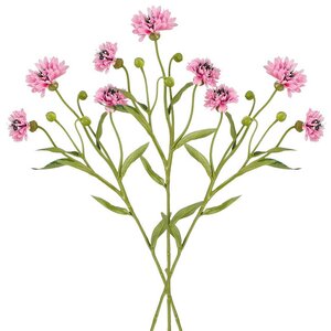 Искусственный букет Corn Flower 62 см розовый (Edelman, Нидерланды). Артикул: 1150684-набор
