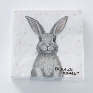 Бумажные салфетки Кролик Брюс 17*17 см, 20 шт (Boltze, Германия). Артикул: 2018171-1