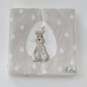 Бумажные салфетки Кролик Франц 17*17 см, 20 шт (Boltze, Германия). Артикул: 2018196-2