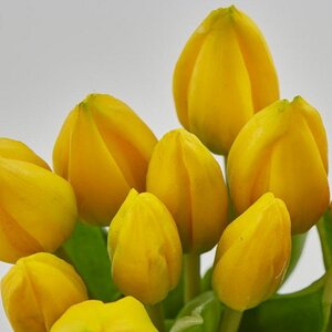 Силиконовые тюльпаны Hidalgo 9 шт, 29 см желтые EDG фото 4