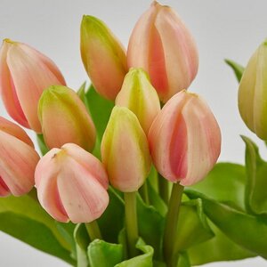 Силиконовые тюльпаны Hidalgo 9 шт, 29 см нежно-розовые EDG фото 3