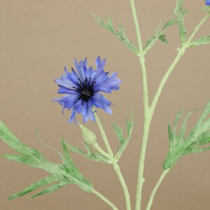 Искуcственный цветок Василек - Blu Profondo 71 см EDG фото 2