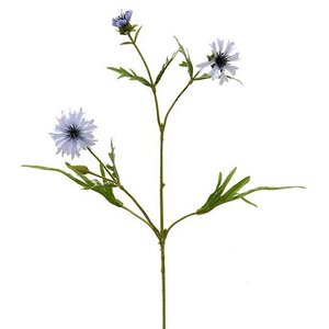 Искуcственный цветок Василек - Blu Pallido 71 см EDG фото 4