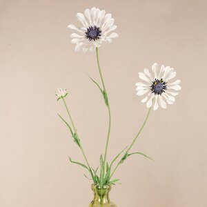 Искуcственный цветок Scabiosa - Perfecta White 65 см (EDG, Италия). Артикул: 215771-83-2