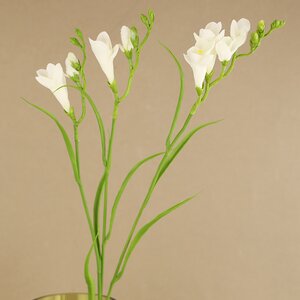 Искуcственный цветок Фрезия - Apollo 65 см (EDG, Италия). Артикул: 215949-27-2