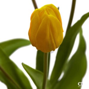 Силиконовые тюльпаны Monte Beau 5 шт, 40 см EDG фото 5