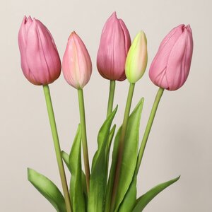 Силиконовые тюльпаны Abe Lenstra 5 шт, 40 см EDG фото 1