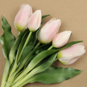 Силиконовые цветы Тюльпаны Piccola Ragazza 5 шт, 28 см нежно-розовые EDG фото 2